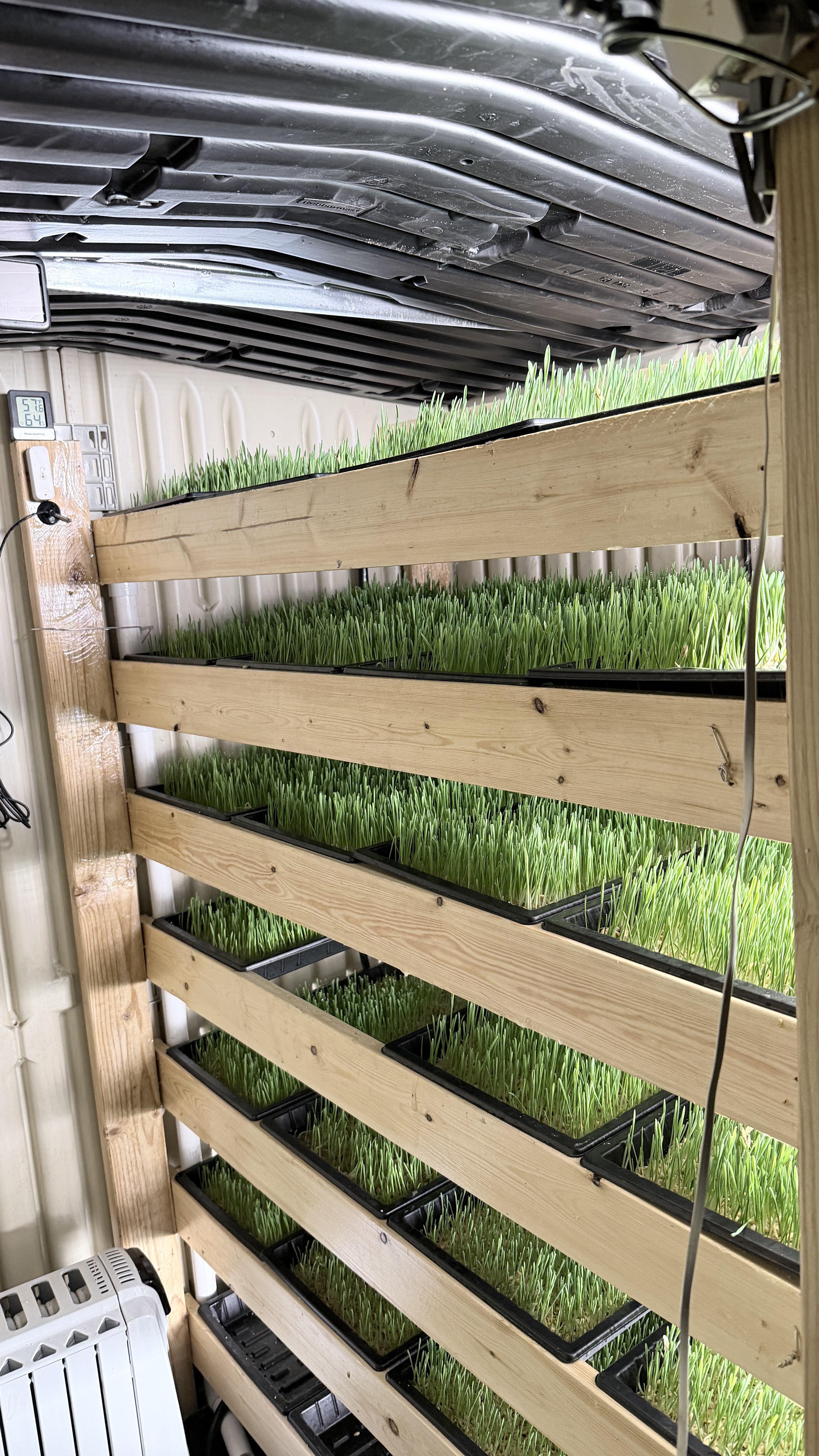 Hydroponic growing system at Robinson Roots
